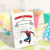 BUSTE REGALO COMPLEANNO SPIDERMAN